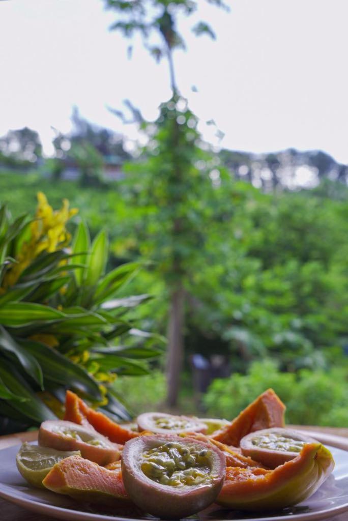 Lemon House 호텔 Maroe 외부 사진